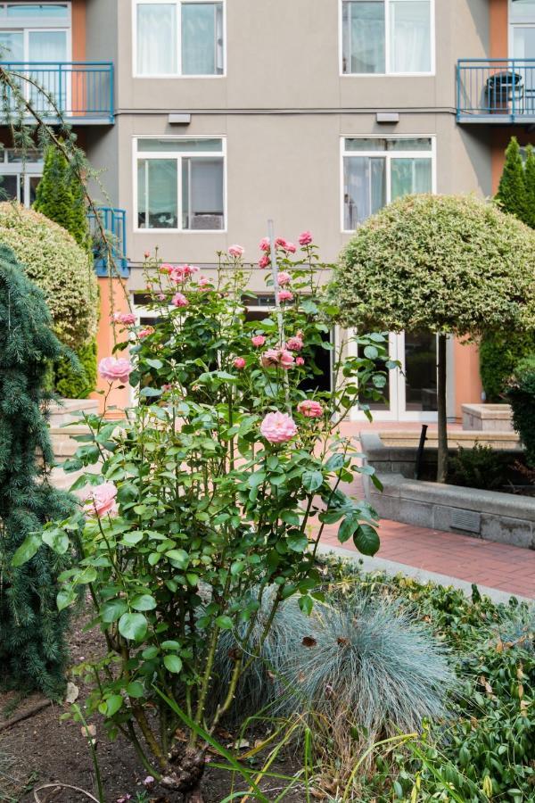 City Water View Oasis With Pool & Gym Near Cruise In Heart Of Seattle Bagian luar foto
